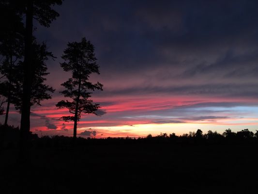 Cherry Springs State Park by null