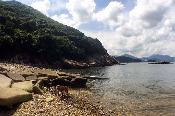 Clear Water Bay Country Park by null