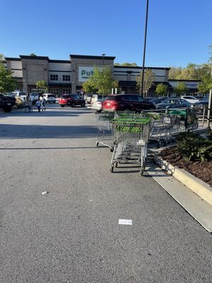 Publix Super Market at Sandtown Crossing by null