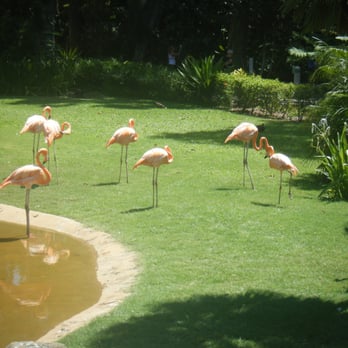 Honolulu Zoo - Zoos Near Me - Honolulu, Hawaii