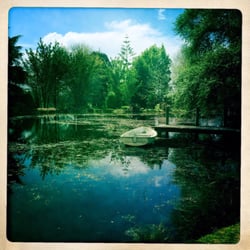 St Margarets Country Cafe - The picturesque lake.