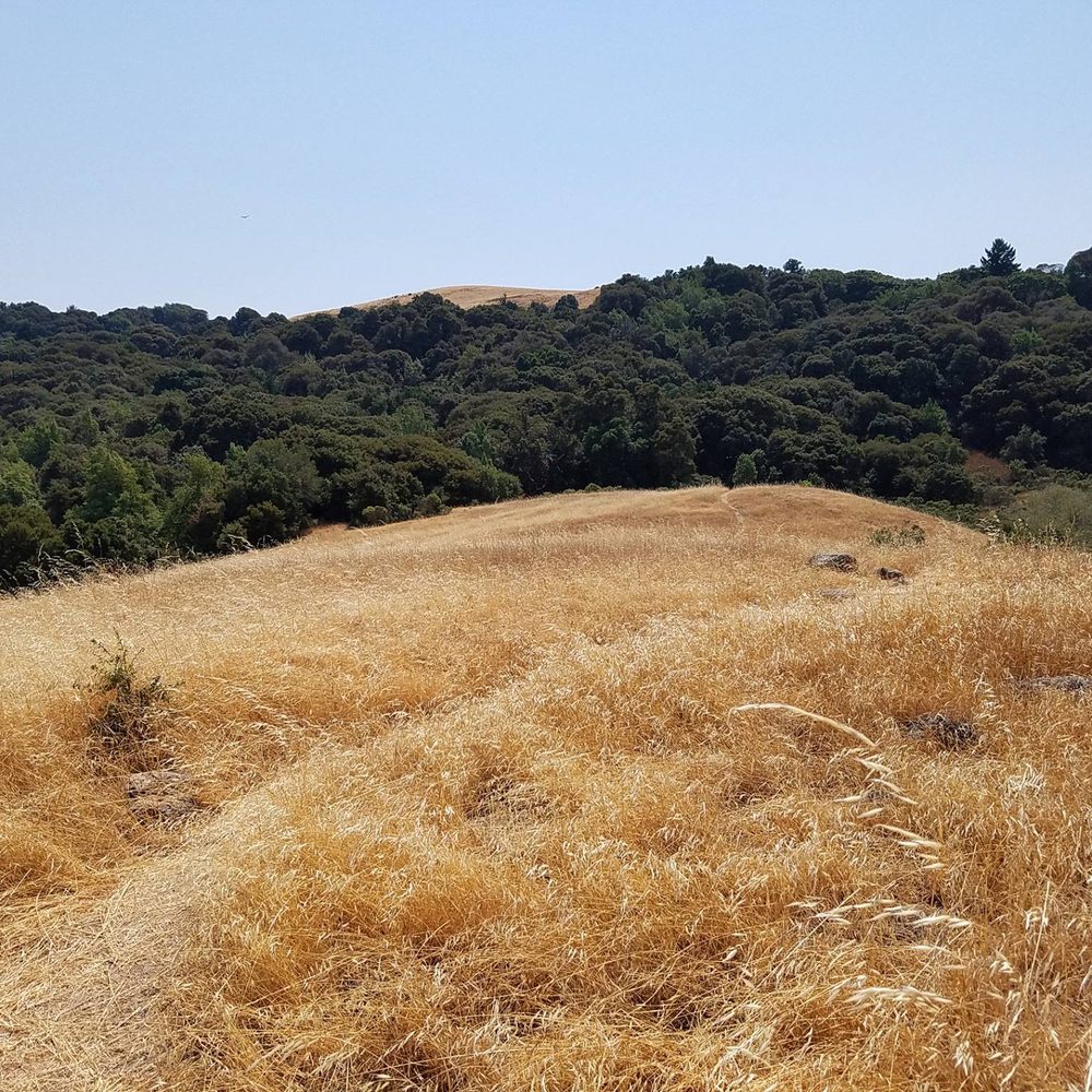 Coal Creek Open Space Preserve - Clouds Rest trail, on top of the mount - Parks Near Me - San Mateo, California Coal Creek Open Space Preserve - Clouds Rest trail, on top of the mount - Parks Near Me - San Mateo, California