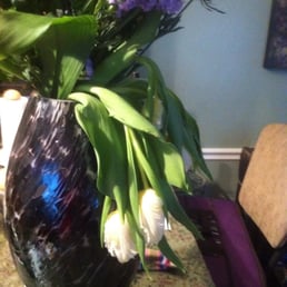 The dead flowers.