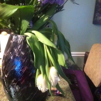 Kendall Flower Shop - The dead flowers. - Nurseries & Gardening Near Me - Cambridge, Massachusetts