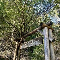 Muir Woods Visitor Center
