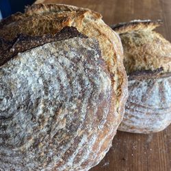 Bread Zepp - Rustic Sourdough