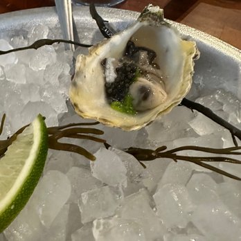Jolie - Oysters - Seafood Near Me - Coronado, California Jolie - Oysters - Seafood Near Me - Coronado, California