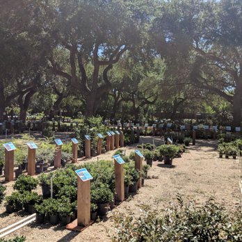 Rainbow Gardens - Nurseries & Gardening Near Me - San Antonio, Texas