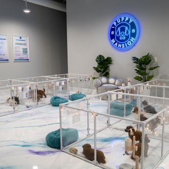 Puppy Mansion - puppy play area - Pet Groomers Near Me - Miami, Florida Puppy Mansion - puppy play area - Pet Groomers Near Me - Miami, Florida