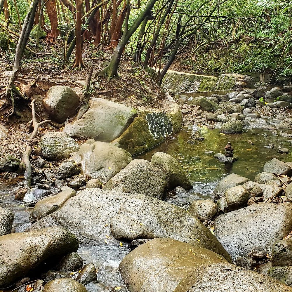 Lulumahu Falls - Hiking Near Me - Honolulu, Hawaii Lulumahu Falls - Hiking Near Me - Honolulu, Hawaii