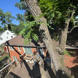Jeremy Tree Service & Landscaping