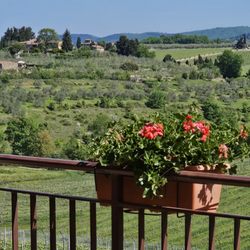 Casa Emma - More vineyards.