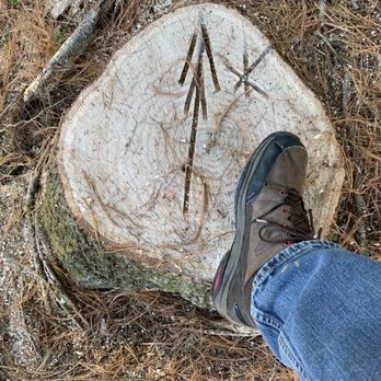 All Branched Out Tree Service - Tree Services Near Me - Walkersville, Maryland All Branched Out Tree Service - Tree Services Near Me - Walkersville, Maryland