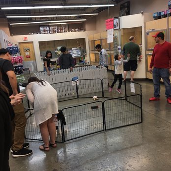 Animal Kingdom - Pet Stores Near Me - Tempe, Arizona Animal Kingdom - Pet Stores Near Me - Tempe, Arizona