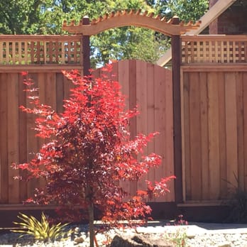 John Antonio Landscape Management - a red tree in front of a wooden fence - Landscaping Near Me