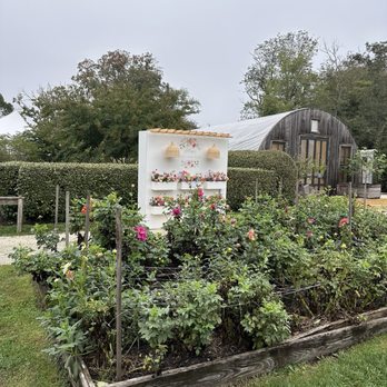Beach Plum Farm - American Near Me - West Cape May, New Jersey Beach Plum Farm - American Near Me - West Cape May, New Jersey