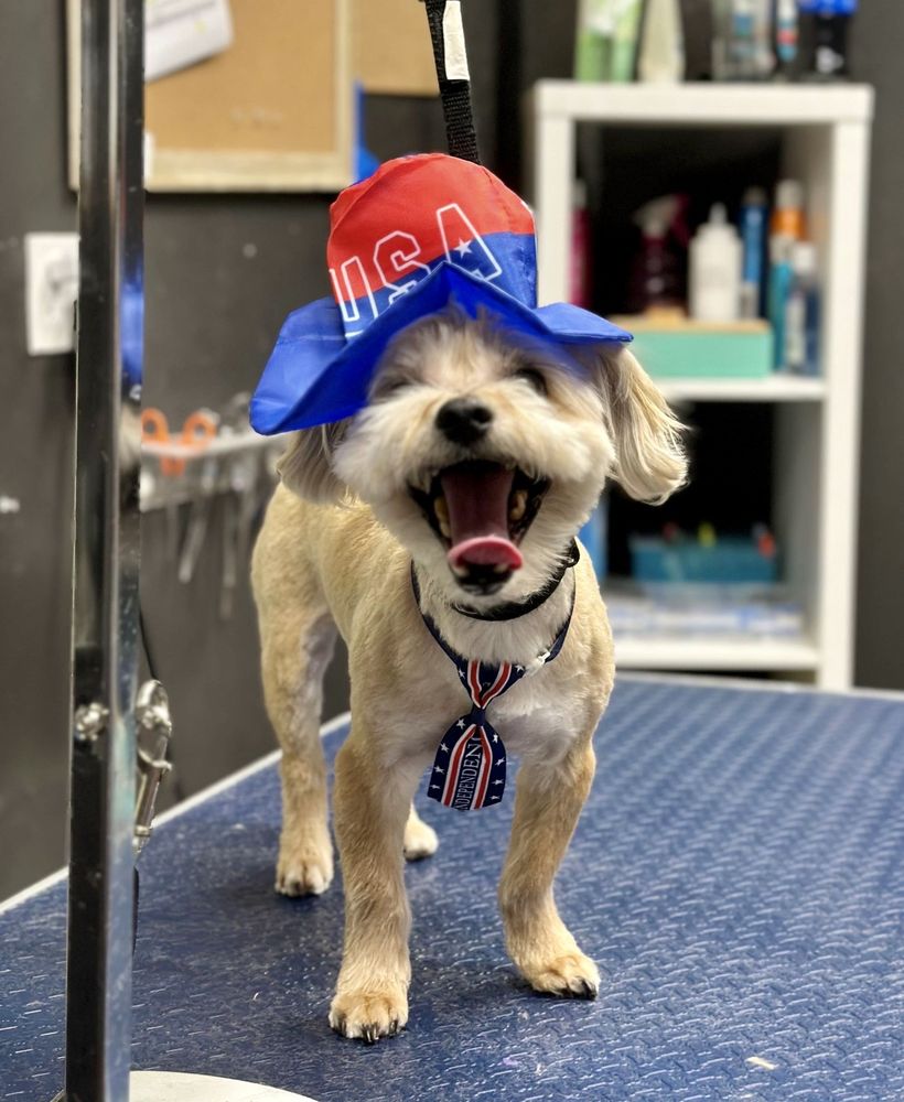 Beautify the Beast - pet boarding facility in Tampa, FL