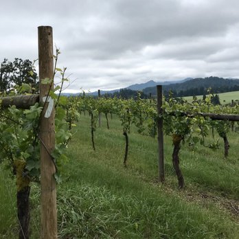 Bradley Vineyards - Vineyard - Wineries Near Me - Elkton, Oregon Bradley Vineyards - Vineyard - Wineries Near Me - Elkton, Oregon