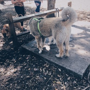 Pawmosa Dog Park - Water hose area - Dog Parks Near Me - Casselberry, Florida