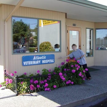 Atlantic Veterinary Hospital - Veterinarians Near Me - Seattle, Washington