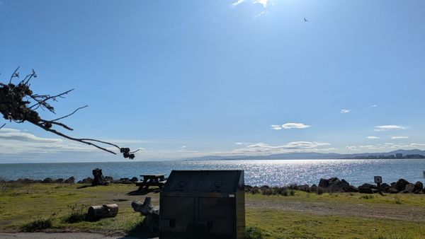 Candlestick Point State Recreation Area by null
