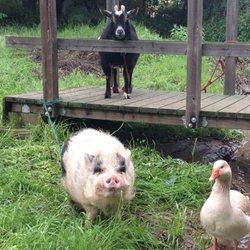They will be happy to see you!