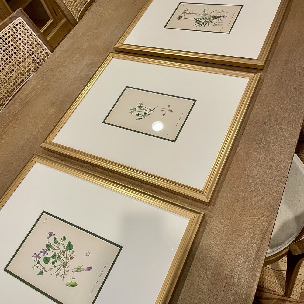 FastFrame - Houston - Framed botanicals with green matt - Framing Near Me - Houston, Texas FastFrame - Houston - Framed botanicals with green matt - Framing Near Me - Houston, Texas