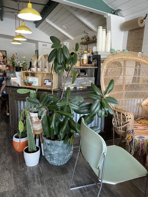 Escape Root Juicery by null