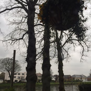 The Mercure Thames Lodge Hotel - We have door to the outside - our view of the Thames - Hotels Near Me - Staines, SRY