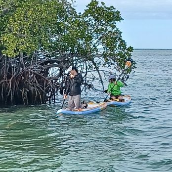 Lower Keys Adventure Charters - Ecotour with paddle board on a Lower Keys Adventure Charters trip. - Fishing Near Me - Summerland Key, Florida Lower Keys Adventure Charters - Ecotour with paddle board on a Lower Keys Adventure Charters trip. - Fishing Near Me - Summerland Key, Florida