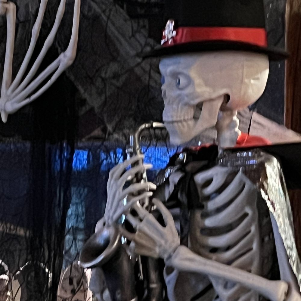 a skeleton in a top hat and top hat a skeleton in a top hat and top hat