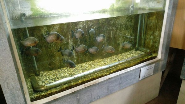 Shiraike Jigoku by null