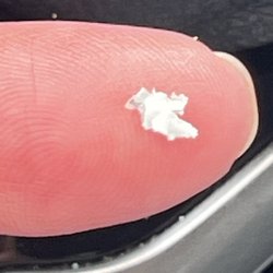 1 of many pieces of foreign object in my smoothie.
