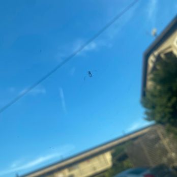 Mobile Auto Glass - His work horrible ; you could clearly see it now ! - Auto Glass Services Near Me - Bellflower, California Mobile Auto Glass - His work horrible ; you could clearly see it now ! - Auto Glass Services Near Me - Bellflower, California