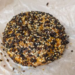 Everything Bagel Everything Bagel