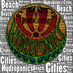 Beach Cities Hydroponics