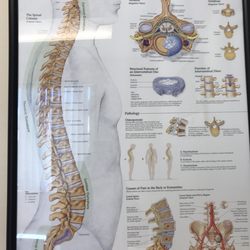 GOLDEN STATE ORTHOPEDICS & SPINE- OAKLAND