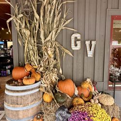 Grandfather Vineyard