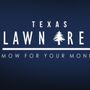 Photo of Texas LawnTree