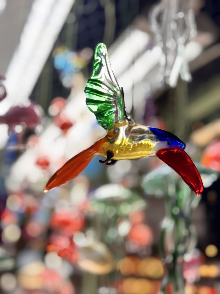 SoWa Winter Festival
