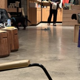 Dog off his leash but there's a 350$ dog policy that tells you not to do this.
