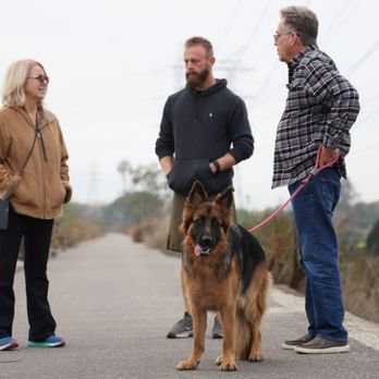 Active K9 Services - My favorite way to spend the Friday morning... With great people and training dogs. - Pet Training Near Me