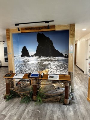 Photo of Coastal Interpretive Center - Ocean Shores, WA, US.
