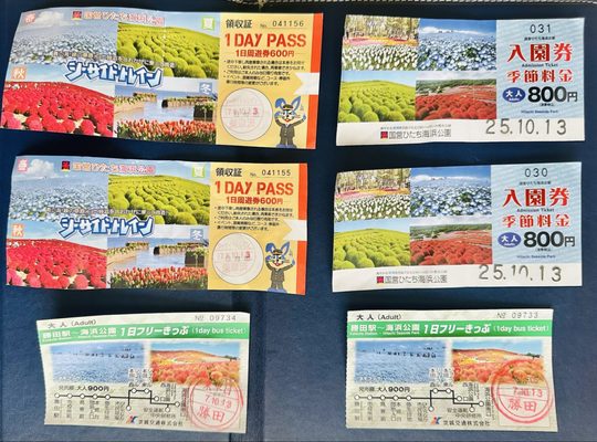 Hitachi Seaside Park by null