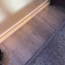 Crumbs and waste left on the floor