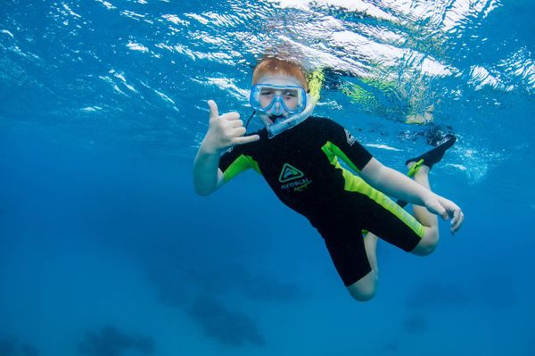Passions of Paradise - Great Barrier Reef Tours Cairns by null
