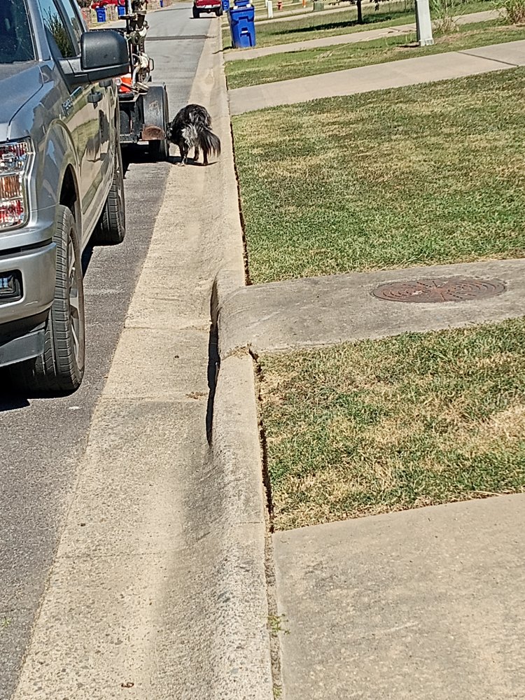 Lawn King - veterans service organization in Greenbrier, AR