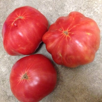 Oak Lawn - Heirloom tomatoes! Stop buying tomatoes from the grocery store.....these are SO much better! - Churches Near Me - Dallas, Texas Oak Lawn - Heirloom tomatoes! Stop buying tomatoes from the grocery store.....these are SO much better! - Churches Near Me - Dallas, Texas
