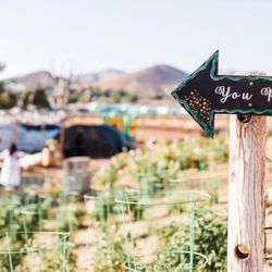 DeBellis Ranch Family Farm