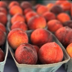 Beckner Orchards